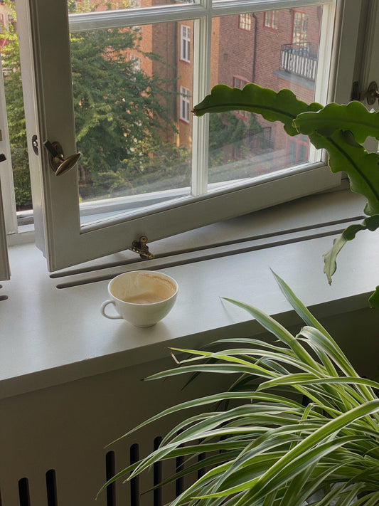 Morning Grounding Ritual - Arrive in Your Body Before You Enter the World.