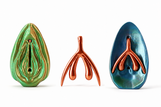 3D Vulva Anatomy Model with Removable Clitoris