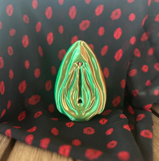 3D Vulva Anatomy Model with Removable Clitoris
